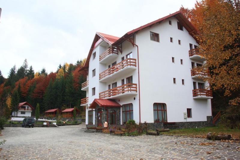 Hotel Paltinis Statiunea Εξωτερικό φωτογραφία