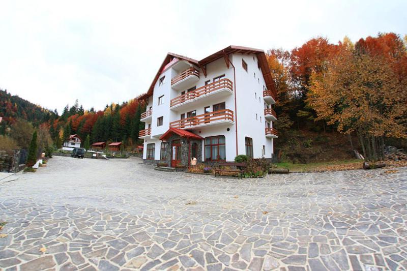 Hotel Paltinis Statiunea Εξωτερικό φωτογραφία