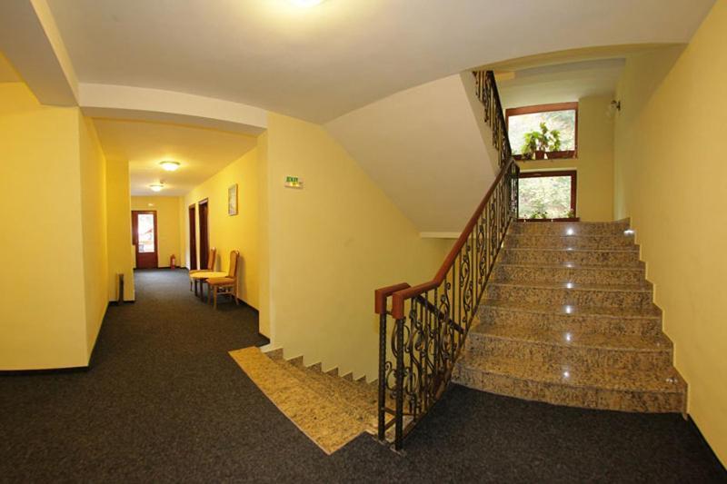 Hotel Paltinis Statiunea Εξωτερικό φωτογραφία